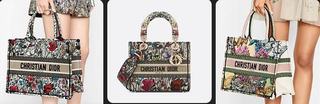 Dior New Bags 2024